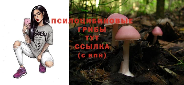крисы Балахна