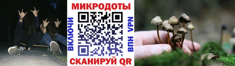 Галлюциногенные грибы Magic Shrooms  закладки  Фёдоровский 